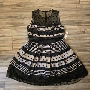 Eliza J Black Tulle Polka Dot Stripe Retro Sweetheart Plus Size Dress 22W NWT